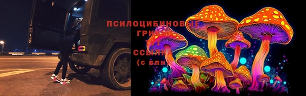 мяу мяу мука Абаза