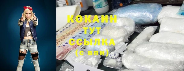 мяу мяу мука Абаза
