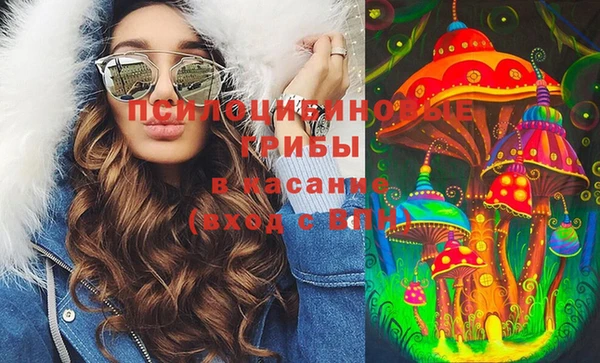 герыч Алексин