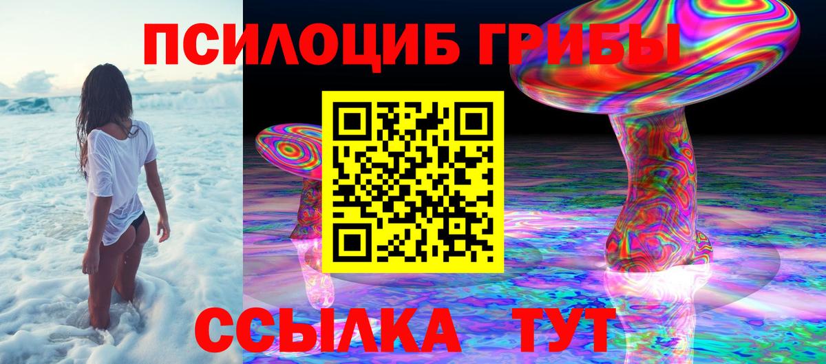 Егорьевск  Галлюциногенные грибы Magic Shrooms  Галлюциногенные грибы Psilocybe  цена наркотик  Вход с VPN 