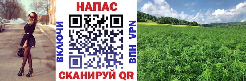 Канабис Bruce Banner  KRAKEN маркетплейс  Егорьевск  сколько стоит 